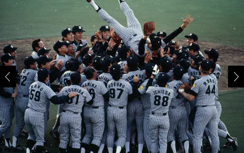 The Hanshin Tigers carry their pitcher off the field in celebration of winning the Japan Series.