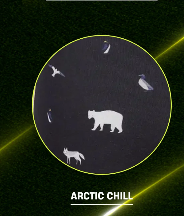 Arctic Chill