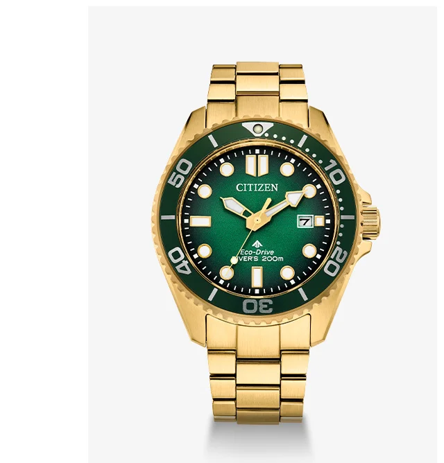 Promaster Dive