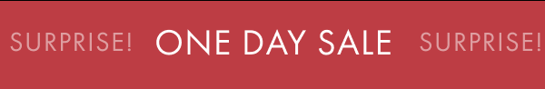 Surprise! One day sale