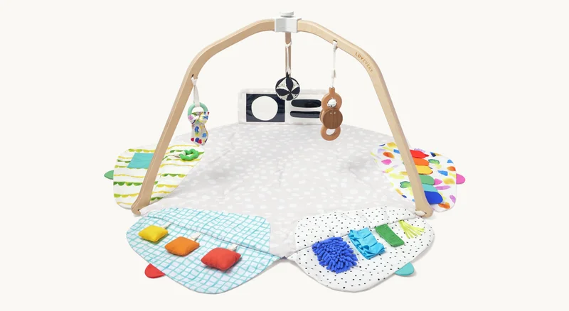 The Play Gym