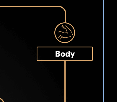 Body