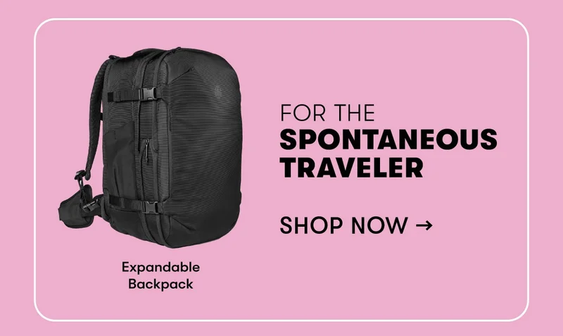 Pair two Travel Backpacks and save up to $100!