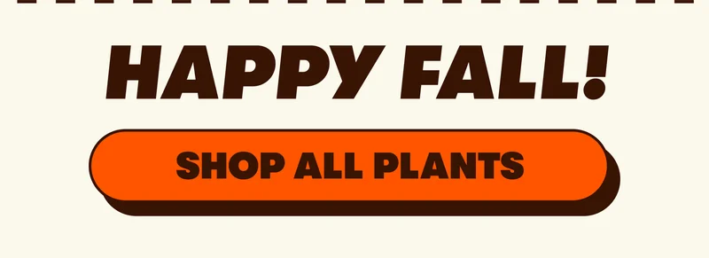 HAPPY FALL! [SHOP ALL PLANTS]