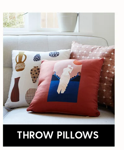 Shop Throw Pillows