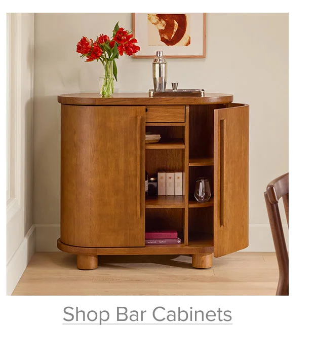 Shop Bar Cabinets