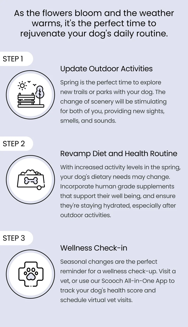 3 steps for a healthier, happier pup