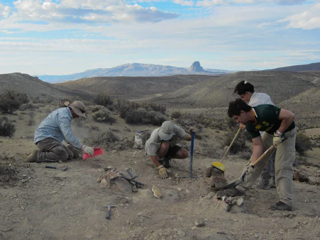 Paleontologists begin excavating Dionide’s ‘bicharracos’ in the Patagonian Desert.