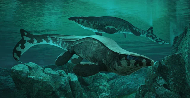 A reconstruction of Tylosaurus rex, a newly discovered mosasaur in the Cretaceous-era Western Interior Seaway of North America.