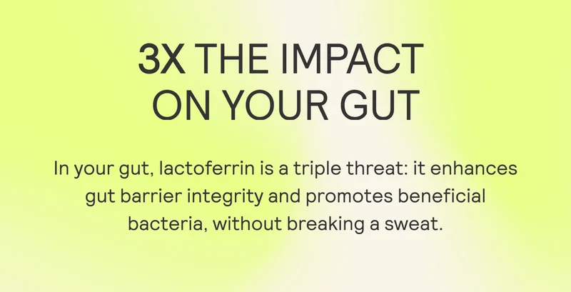 In your gut, lactoferrin is a triple threat: it enhances gut barrier integrity and promotes beneficial bacteria, without breaking a sweat.