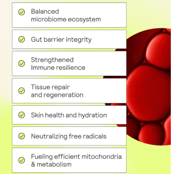 Balanced microbiome ecosystem  Gut barrier integrity  Strengthened Immune resilience  Tissue repair and regeneration  Skin health and hydration Neutralizing free radicals  Fueling efficient mitochondria & metabolism