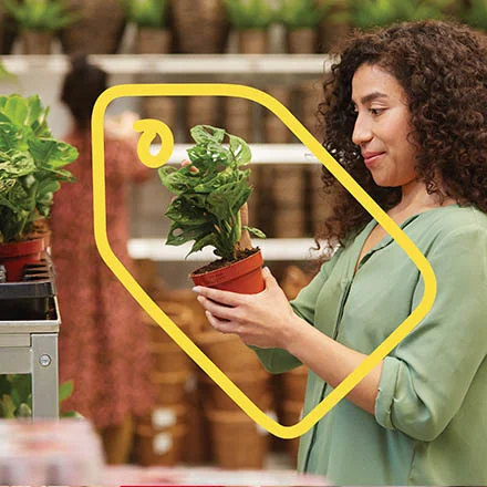 IKEA Family offers