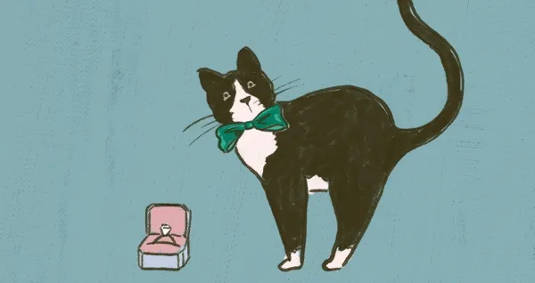Cat illustration