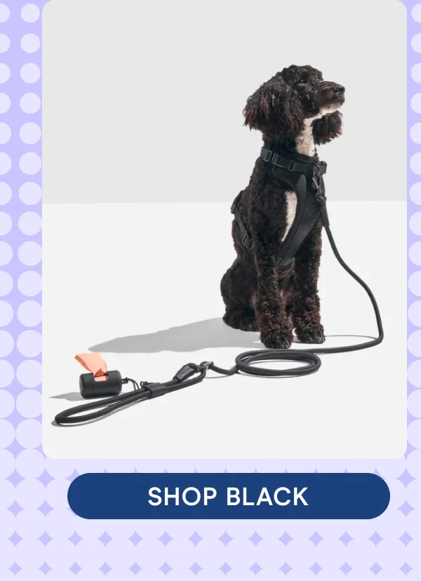 SHOP BLACK