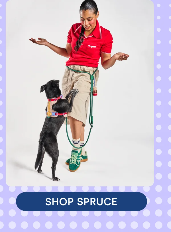 SHOP SPRUCE