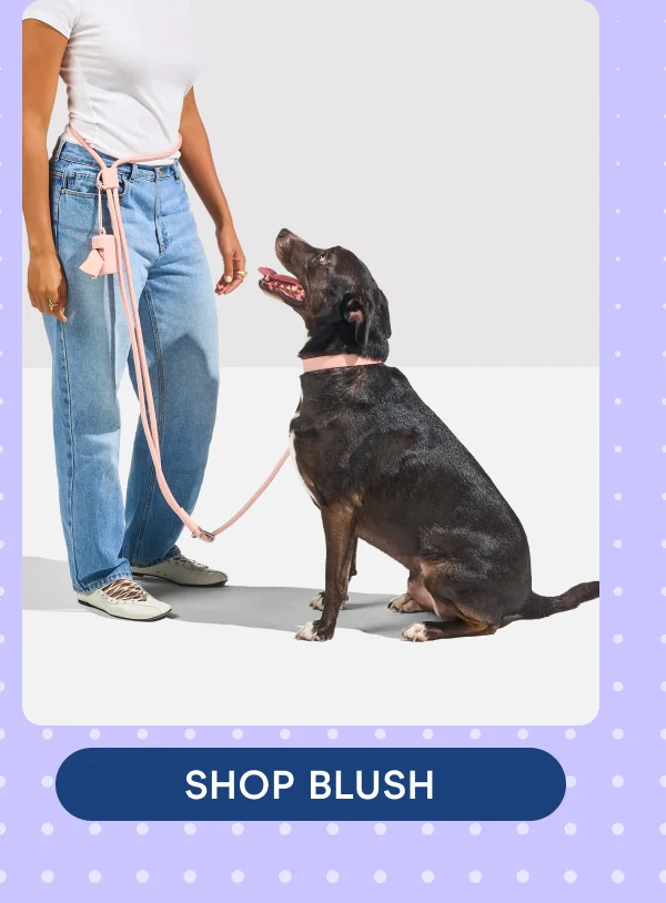 SHOP BLUSH