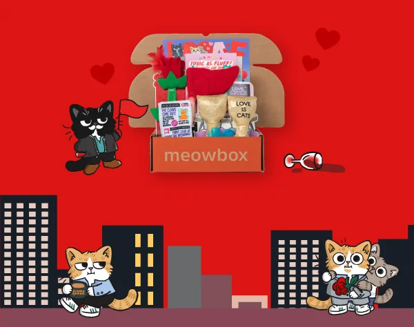 Image of the Loaf or Lust meowbox (featuring toys like the Toxic as Fluff wool toy, The Catchelor I Pick Mew Rose Catnip toy, Love at Purrst Sip toys and more)