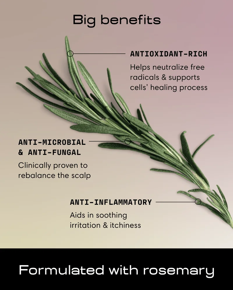 Big benefits | Antioxidant-rich | Helps neutralize free radicals & supports cells’ healing process | Anti-microbial & anti-fungal | Clinically proven to rebalance the scalp | Anti-inflammatory | Aids in soothing irritation & itchiness | Formulated with rosemary