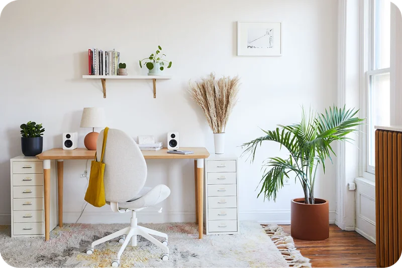 Office Plants