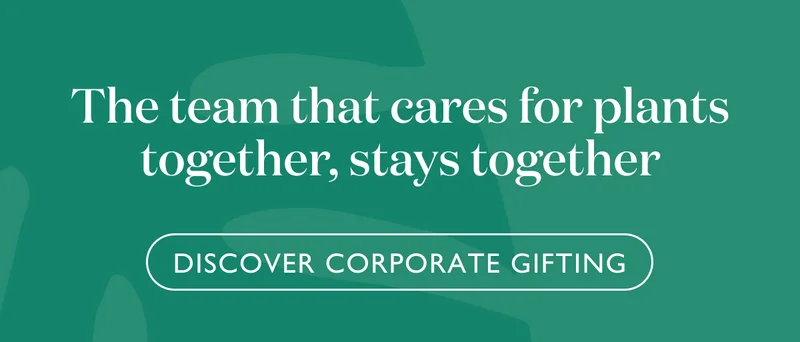 The team that cares for plants together, stays together. Learn more about our Corporate Gifting program.