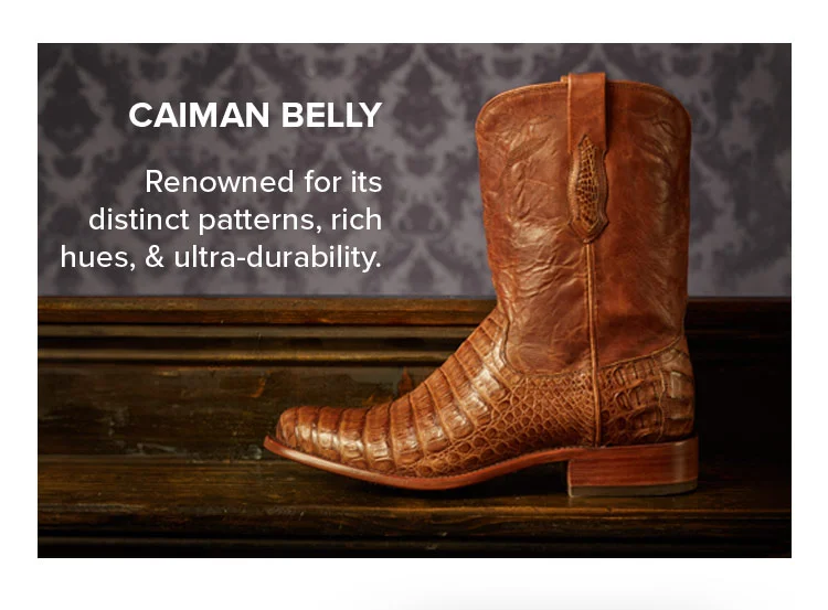 CAIMAN BELLY