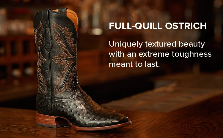 FULL-QUILL OSTRICH