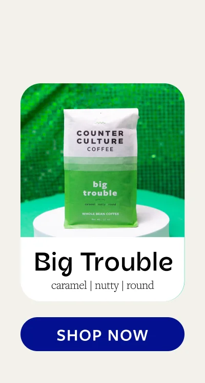 Best Sellers Big Trouble