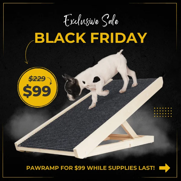 Black Friday Sale