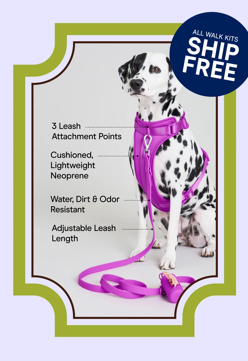 SHOP SALE ALL WALK KITS SHIP FREE 3 Leash Attachment Points Cushioned, Lightweight Neoprene Water, Dirt & Odor Resistant Adjustable Leash Length
