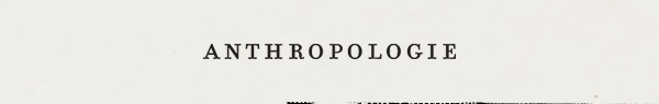 anthropologie