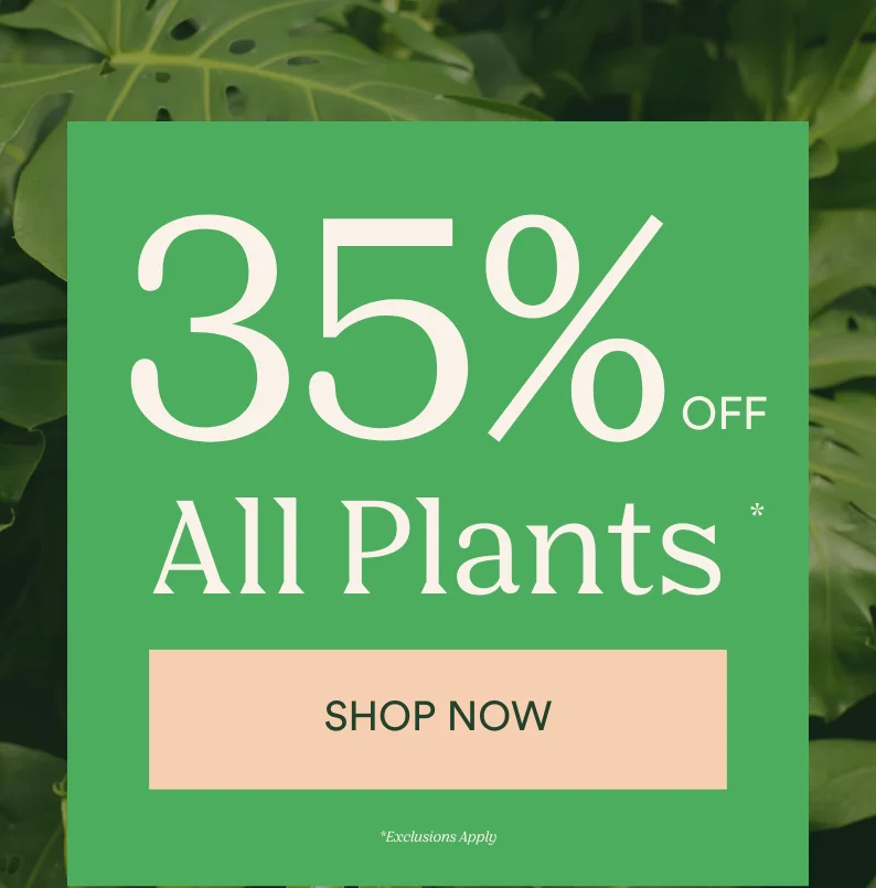 35% off all plants!