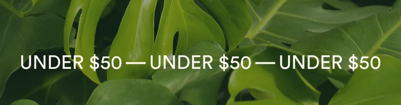 shop under $50