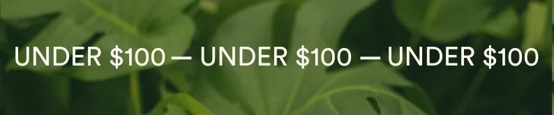 under $100