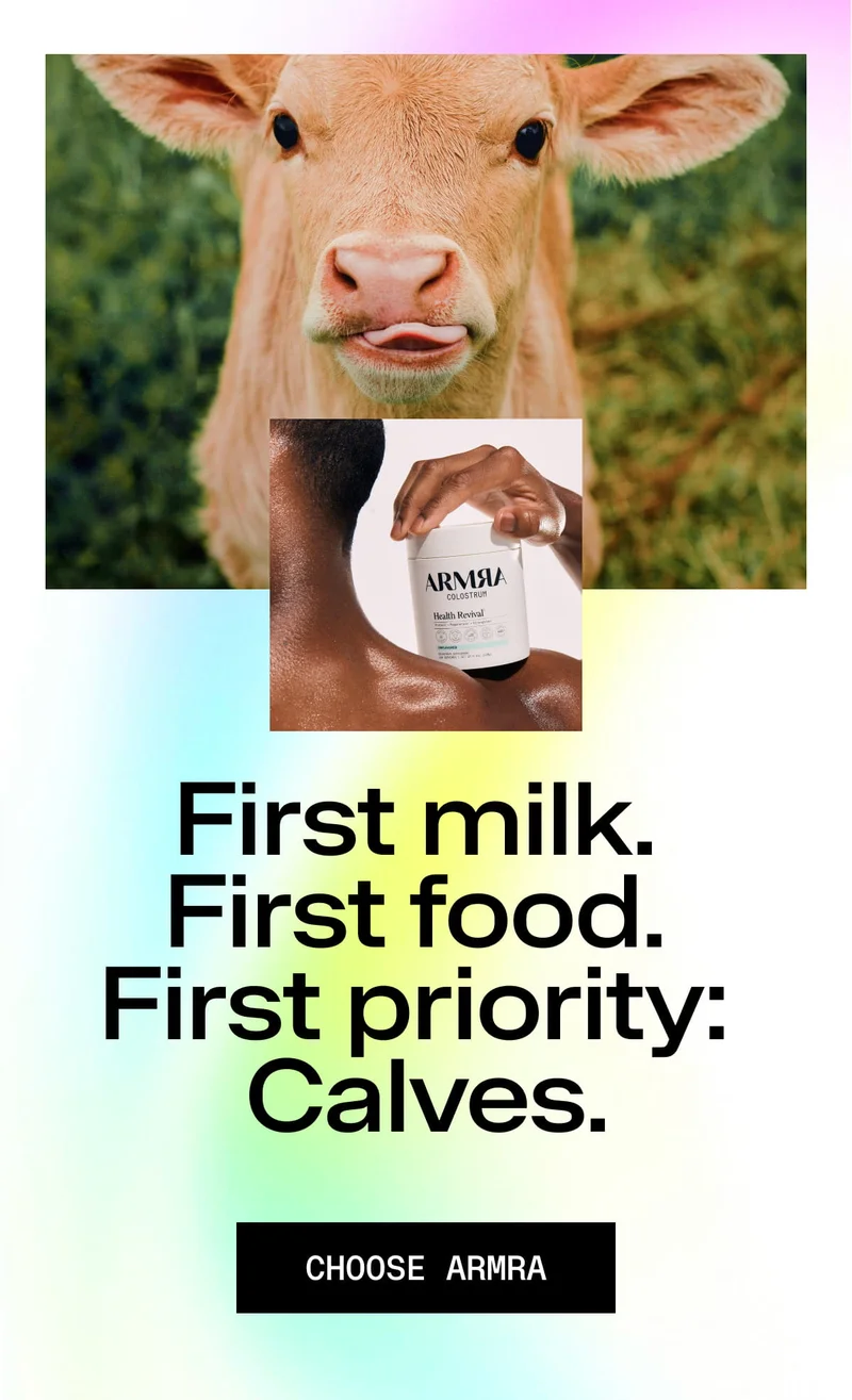 Calf facing forward above a hand holding ARMRA Colostrum jar, with text emphasizing calves come first.
