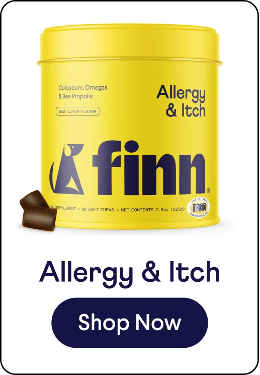 Allergy & Itch