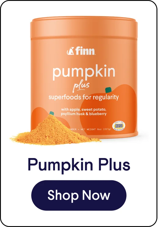 Pumpkin Plus