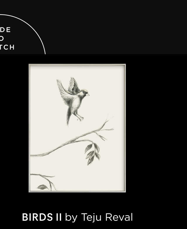 Birds II
