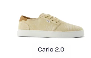 Carlo 2.0