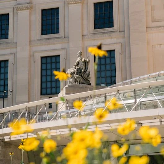 A statue on the exterior of the Brooklyn Museum surrounded by yellow flowers