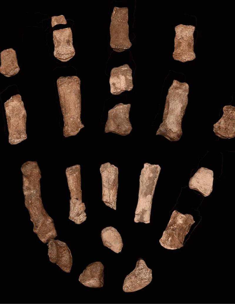 Composite hand
