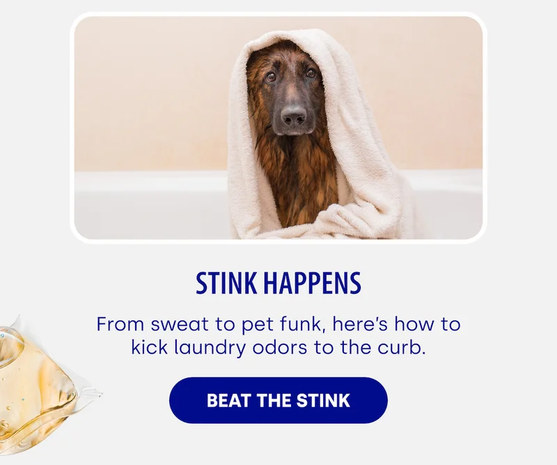 Stink Happens From sweat to pet funk, here’s how to kick laundry odors to the curb. BEAT THE STINK