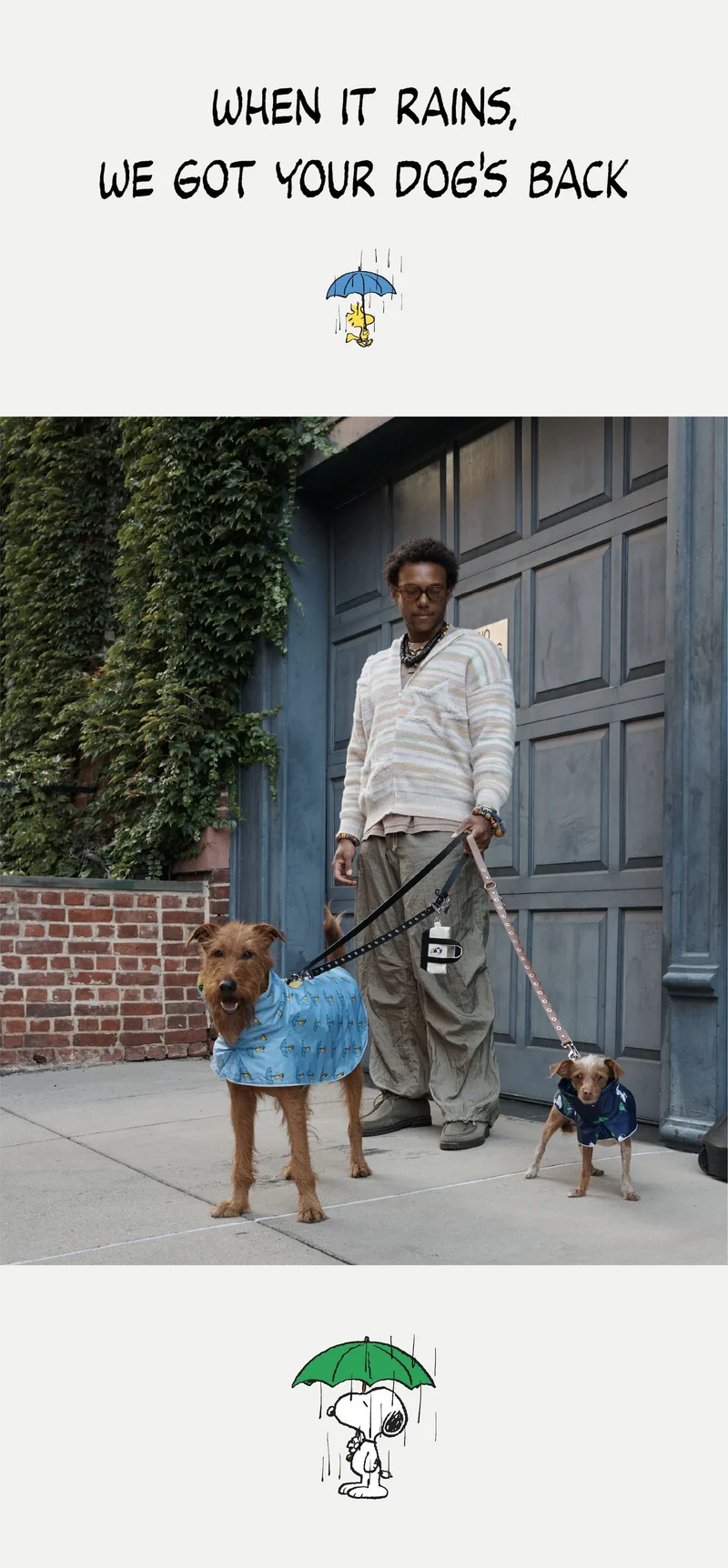 When it rains, we got your dog's back