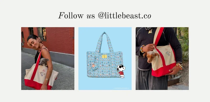 Follow us on Instagram