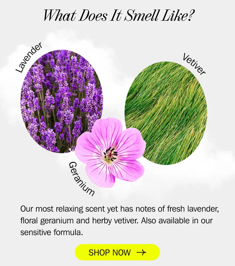 Scent Notes
