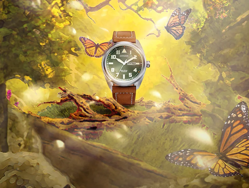 A Citizen watch in a Forest paradise