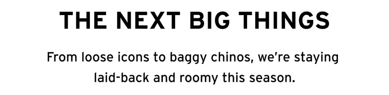 THE NEXT BIG THINGS