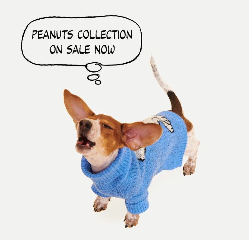 Peanuts Collection on Sale Now