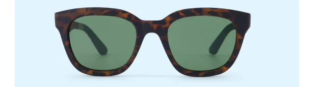 Savanna Traveler Sunglasses - Image