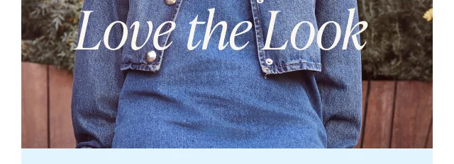 Love the Look - Image
