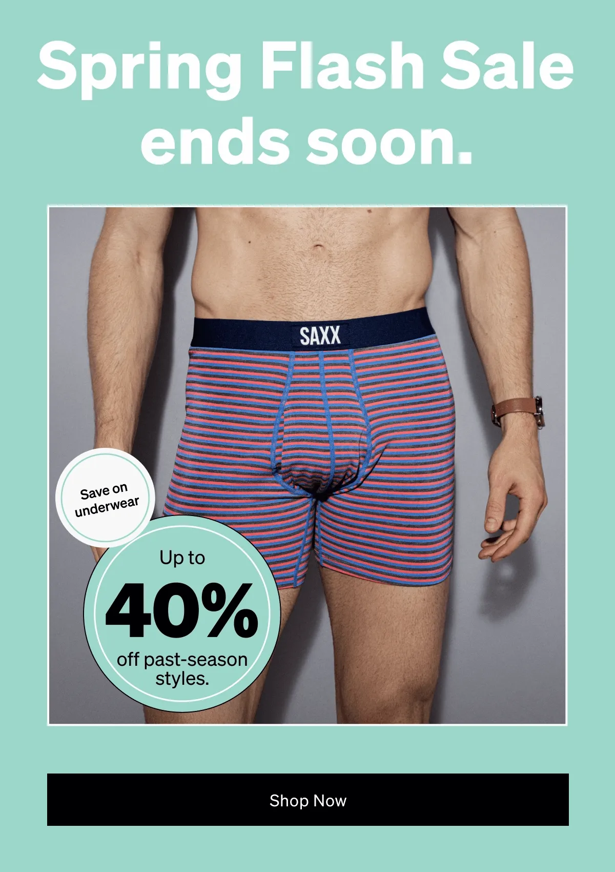 Spring Flash Sale ends soon.